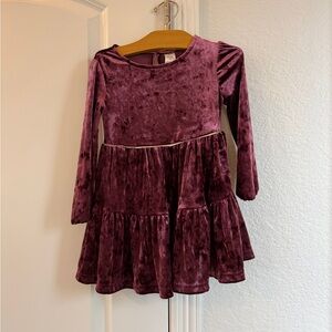 OshKosh B'gosh Velvet Dress in Rich Purple